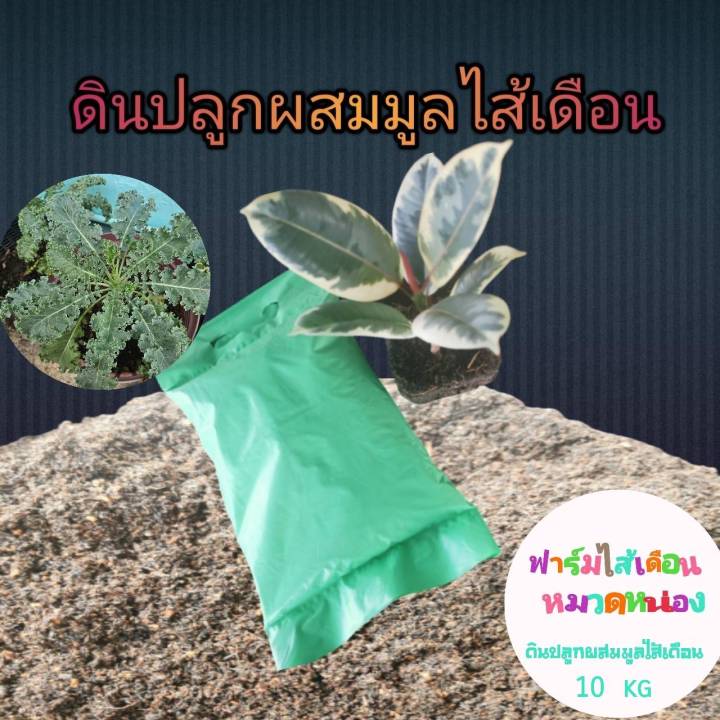 ดินปลูกผสมมูลไส้เดือน สูตรพิเศษ 10 กิโลกรัม สำหรับงานสวนขนาดใหญ่