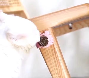 Realmpetz Catnip Ball/Cat Toy/Cat Toys For Cats/Cat Mint Ball/Cat Nip/Pet Toys For Cat/Mainan Kucing Murah