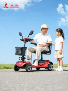 Phoenix | Electric Foldable Elderly and Disability Mobility Car 4 Wheels