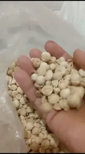 Kapulaga Putih Bulat 10 Gram – Rempah Aromatik Rasa Lembut & Biji Utuh 100% Murni