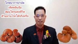 LING ZHI : เห็ดหลินจือแดง เห็ดหลินจือ หลินจือ บํารุงร่างกาย