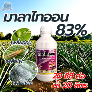มาลาไธออน ขนาด 1 ลิตร (มาลาไธออน 83% EC) ขจัดศัตรูพืช เพลี้ยอ่อน เพลี้ยไฟ เพลี้ยแป้ง หนอน มวน แมลงหวี่ขาว