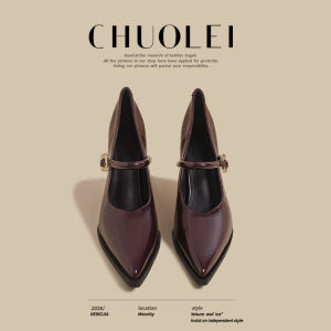 CHUOLEI | New Coarse Heel Mary Jane Shoes White Pointed Toe
