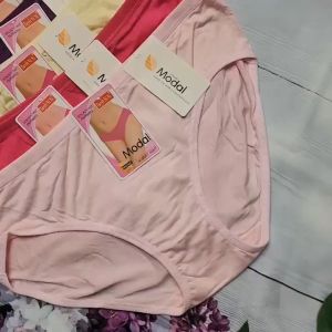 Combo 10 Quần lót Nữ Cotton Mềm Mịn - Quần chip Nữ Trơn Bigsize 55 - 70 Kg (8007) Lưng thun co dãn - Đồ Lót Quỳnh Anh