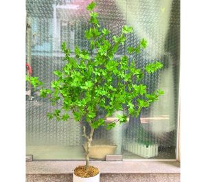 Cây thạch nam giả - thân nhựa - cao 140cm - Cây giả hoa lụa Decor trang trí nhà cửa