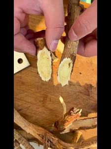 Wild Astragalus Root 500g