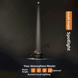 YUANMUXUAN | Decorative LED Spotlight for Home and Commercial Use One Beam Light