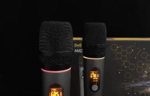 RAYHAYES Mikrofon Nirkabel Profesional Mikrofon Tombol Multi-Fungsi Isi Ulang UHF untuk Karaoke