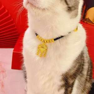 Cat Collar & Medium Size Dog Accessories: A Guide to Chinese Style Fashion Jewelry