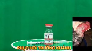 [ PHỤC HỒI SỨC CHO GÀ SAU ĐÁ HIỆU TRƯỜNG KHÁNH ] lọ 10 ml tặng kim tiêm