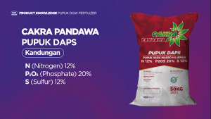 DGW - Pupuk Cakra Pandawa DAPS