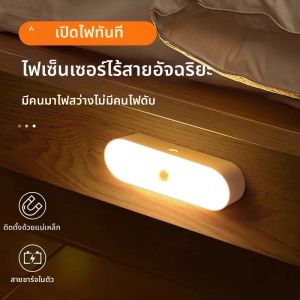 Human Induction Smart Rechargeable Night Light