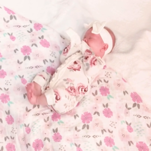 Stephen Joseph Muslin 100% Cotton Blanket Swaddle Wrap for Babies