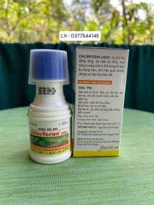 Thuốc trừ sâu Chlorferan 240sc ( chai 60ml ) chuyên trị sâu cuốn lá bọ trĩ nhện gié rầy nâu sâu đục bẹ sâu năn..