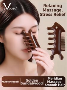 LVpasa | Head Massage and Scalp Gua Sha Comb