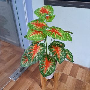 Mua cây tặng chậu 😍- Cây giả Cây môn đỏ cây trầu bà đỏ giữa cây giả trang trí cao cấp cây hoa giả