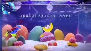 Mainan Dekorasi aquarium aquascape