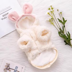 Petone dOrage | Warm & Fluff Protection Cat Clothes