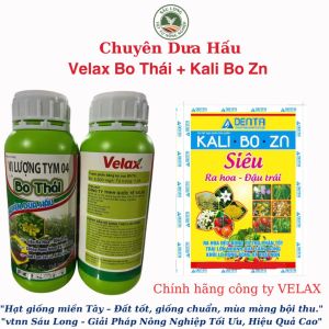 combo Chuyên Dưa Hấu 1chai Bo Thái + 10 gói Kali Bo Zn | siêu ra hoa đậu quả dùng đươc tất cả cây trồng
