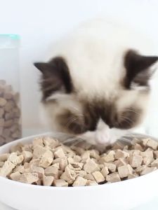 CK Freeze Dried Chicken Cube/Multiple Choice 500g/580g