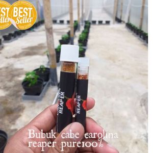 Bubuk Cabe Carolina Reaper pure (murni) 100% bon cabe berat 15 g