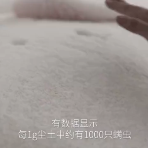 Herbal Anti- Mite Removal Sachet Pack Dehumidifier for Bed & Home 天然中草药祛螨包 【高效除螨】 家用床上去螨虫神器