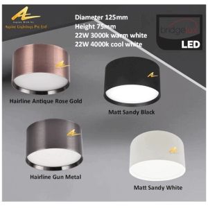 LED Ceiling Light Surface Mount Lighting Rose Gold Gun Metal Balcony Bathroom Bedroom Hallway Kitchen Service Yard Store