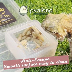 Lavaland - Anti-Escape Reptile Feeder Bowl - 2 in 1 Double Box Food Water - Feeding Pets - Reptile - Gekco - Lizard