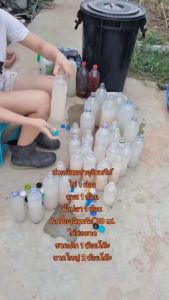 จุลินทรีย์แสงขวดใหญ่1.5ลิตร หัวเชื้อจุลินทรีย์พร้อมใช้ จุลินทรีย์รดราดดินร่วนซุย บำรุงต้น เร่งราก ออกดอกผล