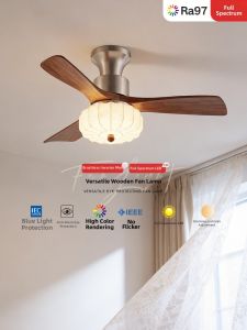 SUOYAN | Eye-Protecting Silent Ceiling Fan Light