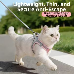 Escape-Proof Non-Choking Cat Leash