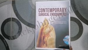 The Art and Science of Contemporary Surgical Endodontics