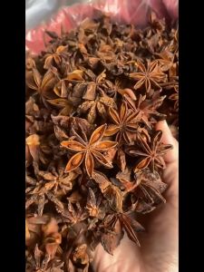 โป๊ยกั้ก เครื่องปรุงรสใหม่ ตากแดดธรรมชาติคัดสรรมาอย่างดีเครื่องเทศตุ๋น 八角
