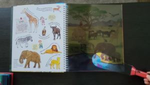 YF Book Shop หนังสือชุดไฟฉายพาส่องโลก เรื่องดินแดนสัตว์ป่า