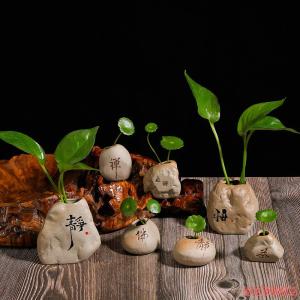 Creative Zen Style Ceramic Hydroponic Mini Flower Pot