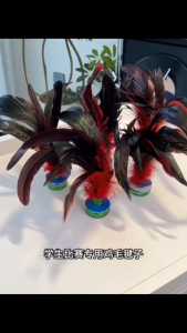 【READY STOCK】Feather Shuttlecocks/Chinese Jianzi Foot Kick/Exercise Fitness Traditional Toys/Rooster Feather Shuttlecock