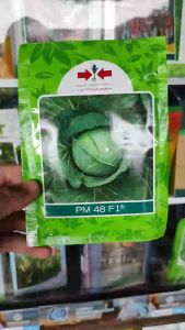 BENIH KUBIS PM 48 F1 15 GRAM Panah Merah