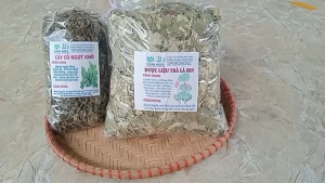 Lá sen sấy khô [1kg ]  TẶNG [100g] cỏ ngọt - duy trì vóc dáng  ổn định huyết áp  an thần
