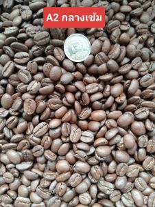 คั่วกลางค่อนเข้ม เกรดกาแฟพิเศษคะแนน 88.08