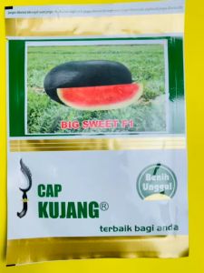 Benih cabai keriting tahan serangan patek hibrida BIANCA NV isi 10gr dari CAP RUSA
