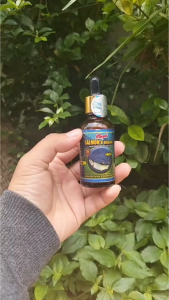 BMW Minyak Salmon Omega Plus suplemen murai kacer cucakijo Vitamin Burung