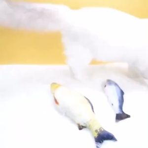 【Ready】Mainan kucing bentuk Catmint Fish ikan dan catnip mainan boneka tahan gigitan mainan kucing Cat Toys Mainan Hewanmainan kucing ikan bergerak