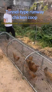 GreenPets Outdoor Chicken Cage Chicken Coop 200cm Elevated Metal Stand Thickened Encrypted Mesh Escape-Proof Predator-Proof Rustproof Poultry Coop
