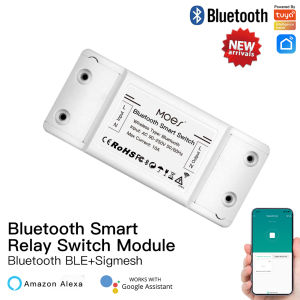 DIY Bluetooth Smart Light Switch Universal Breaker Timer Wireless Remote Control Works with Alexa Google Home Smart Home