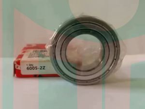VÒNG BI 6005-2Z FAG ( Hàng nhập khẩu )