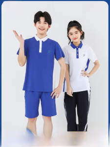 Shenzhen School Uniform Middle School Student Quick-Drying Pants Summer Autumn and Winter Clothing Junior High School Student Men and Women Shorts Short Sleeve High School Special Edition Suit