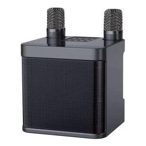 Wireless Karaoke Bluetooth Speaker YS-203
