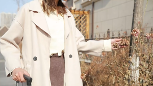 LESTOP luggage Aluminum Frame Travel Password Suitcase 20-Inch Thickened Trolley Case Scratch-Resistant