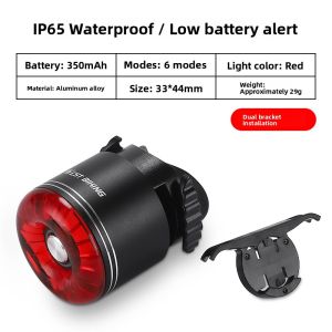 West Biking | Night Riding Warning Tail Light with Smart Brake Sensor