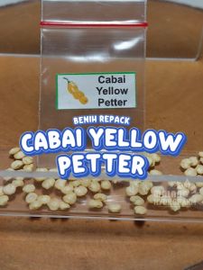 Benih Cabai Yellow Peter Unggul Berkualitas biji bibit repack cabe kuning petter pepper peper papper unik hydroponik hidroponik sayuran sayur tanaman pot